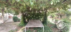 Foto43