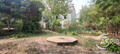 Foto42
