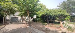 Foto47