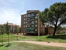 Foto1