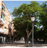 Foto1