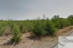 Foto5