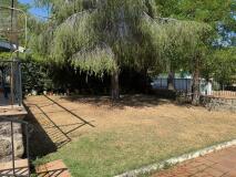Foto4