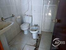 Foto19
