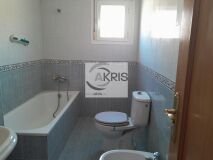 Foto14