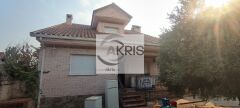 Foto1