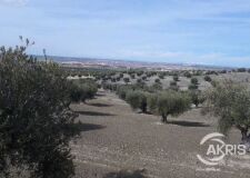 Foto3