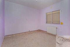 Foto8