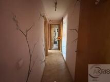 Foto7