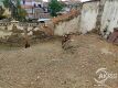 Foto3