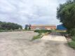 Foto9
