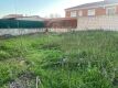 Foto8