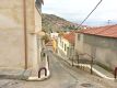 Foto5