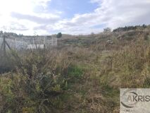 Foto6