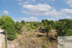 Foto5