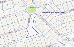 Foto6