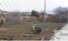 Foto5