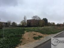 Foto5