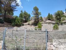 Foto5