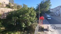 Foto7