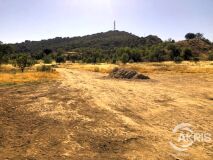 Foto3