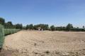 Foto36
