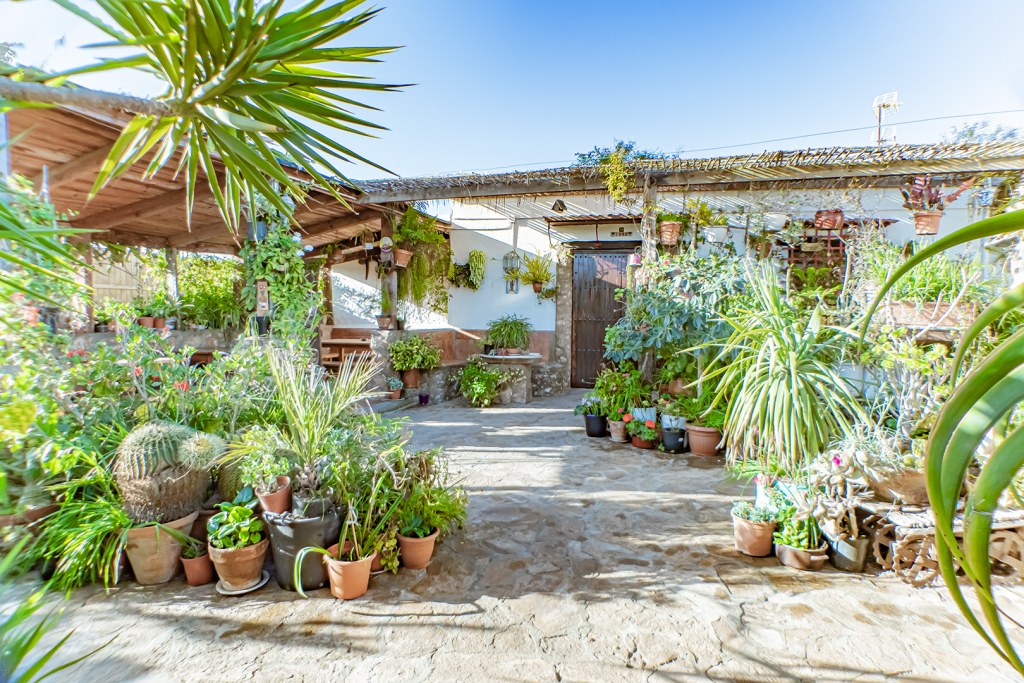 casa de campo-masía en venta en fernanperez almería foto grande (3)