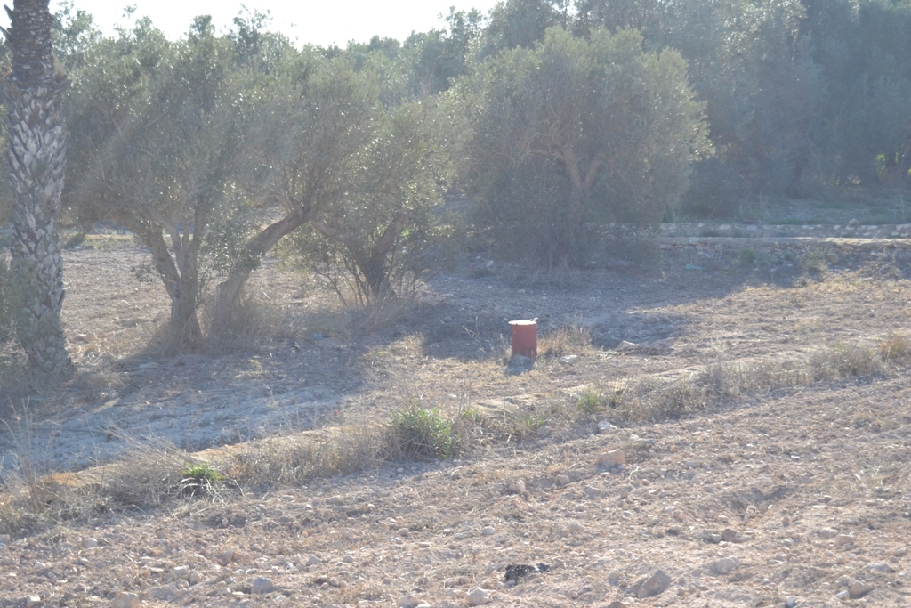 Suelo rústico en Venta en Hornillos Almería 