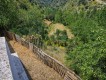 Foto42