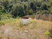 Foto48