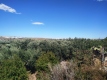 Foto3