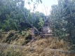 Foto5