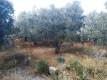 Foto10