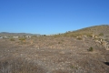 Foto4