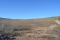 Foto9