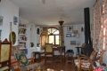 Foto8