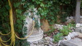 Foto48