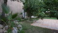 Foto50