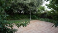 Foto51