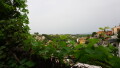 Foto8