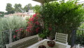 Foto7