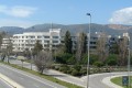 Foto5