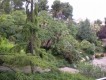 Foto7