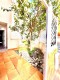 Foto8