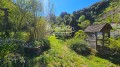 Foto47