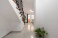Foto8