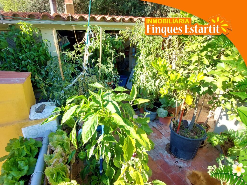 Foto casa-chalet en venta en estartit girona