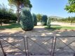 Foto34