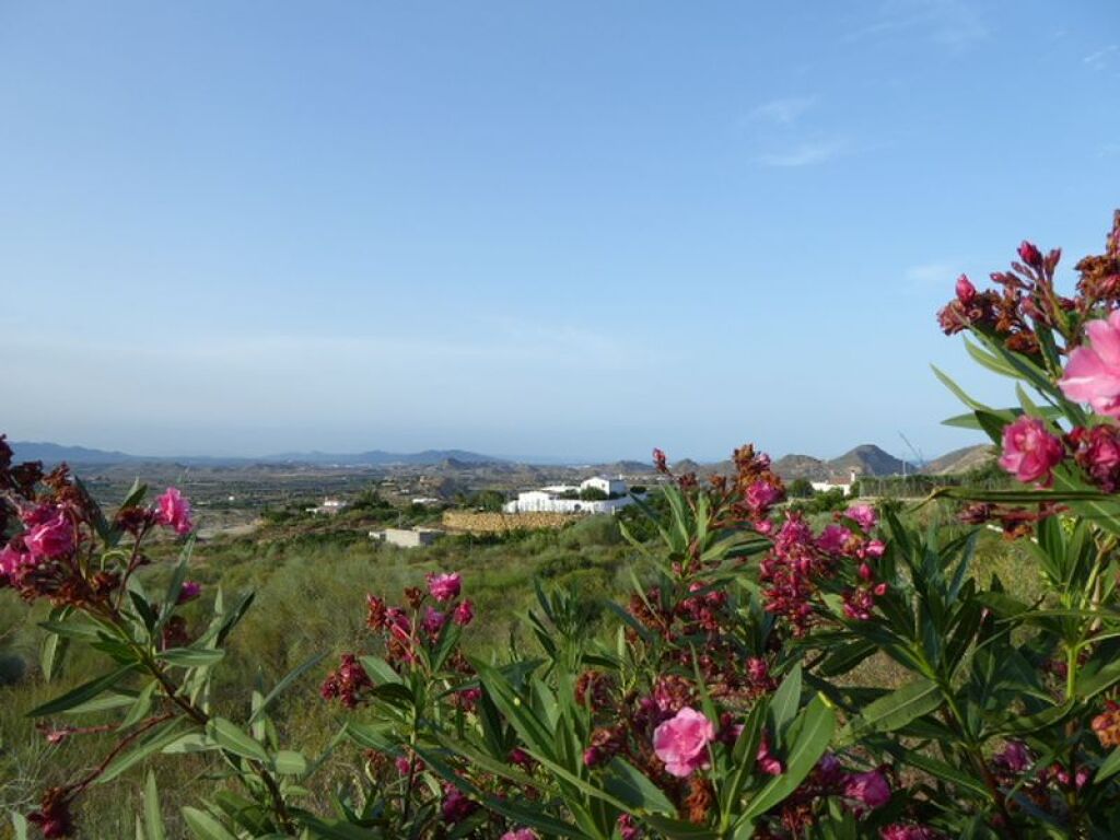 Foto casa de pueblo en venta en mojacar almería