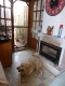 Foto7